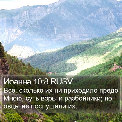 Иоанна 10:8 RUSV Bible Verse Image