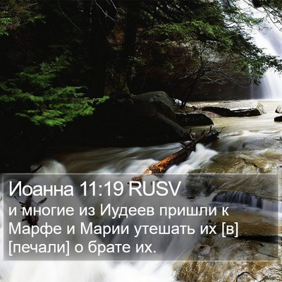 Иоанна 11:19 RUSV Bible Verse Image