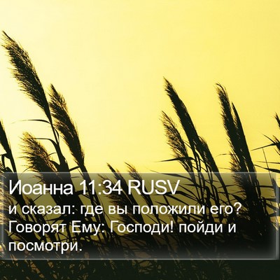 Иоанна 11:34 RUSV Bible Verse Image