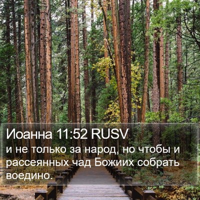 Иоанна 11:52 RUSV Bible Verse Image