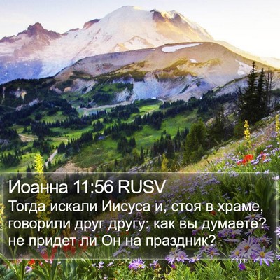 Иоанна 11:56 RUSV Bible Verse Image