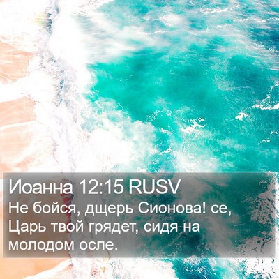 Иоанна 12:15 RUSV Bible Verse Image