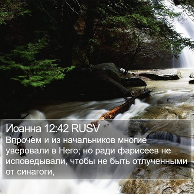 Иоанна 12:42 RUSV Bible Verse Image