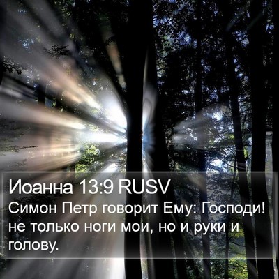Иоанна 13:9 RUSV Bible Verse Image