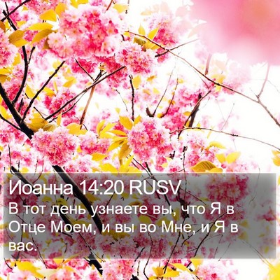 Иоанна 14:20 RUSV Bible Verse Image