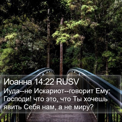 Иоанна 14:22 RUSV Bible Verse Image