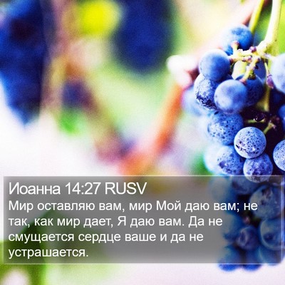 Иоанна 14:27 RUSV Bible Verse Image