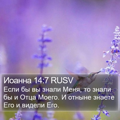 Иоанна 14:7 RUSV Bible Verse Image