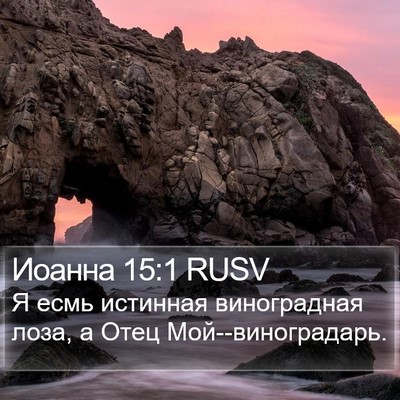 Иоанна 15:1 RUSV Bible Verse Image