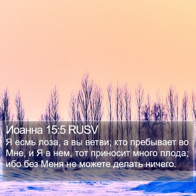 Иоанна 15:5 RUSV Bible Verse Image