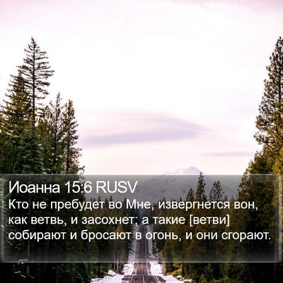 Иоанна 15:6 RUSV Bible Verse Image
