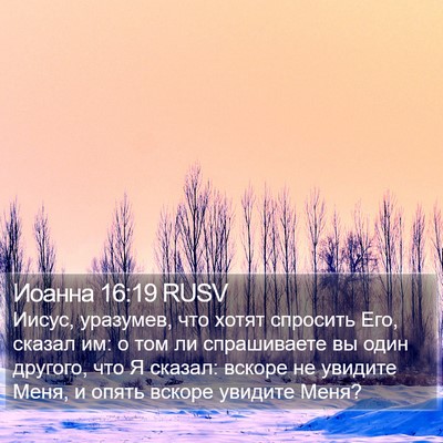 Иоанна 16:19 RUSV Bible Verse Image
