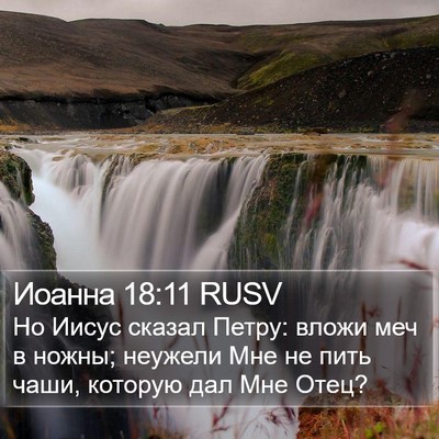 Иоанна 18:11 RUSV Bible Verse Image