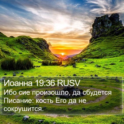 Иоанна 19:36 RUSV Bible Verse Image