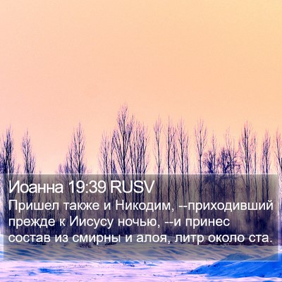 Иоанна 19:39 RUSV Bible Verse Image