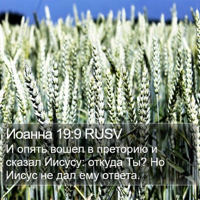 Иоанна 19:9 RUSV Bible Verse Image