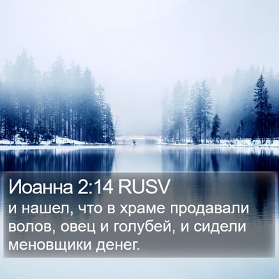Иоанна 2:14 RUSV Bible Verse Image