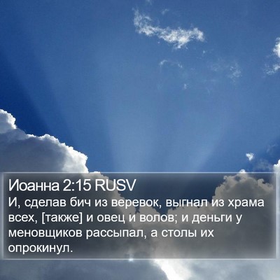 Иоанна 2:15 RUSV Bible Verse Image
