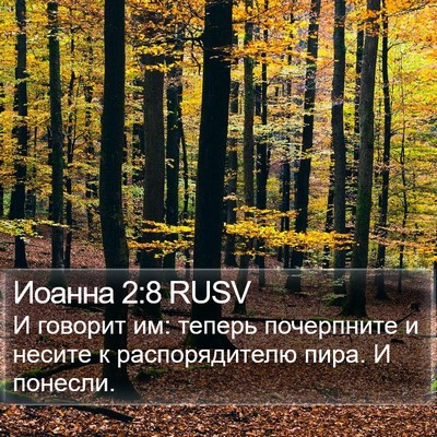 Иоанна 2:8 RUSV Bible Verse Image