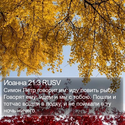 Иоанна 21:3 RUSV Bible Verse Image