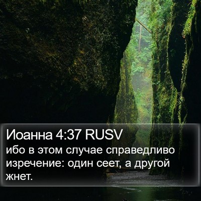 Иоанна 4:37 RUSV Bible Verse Image