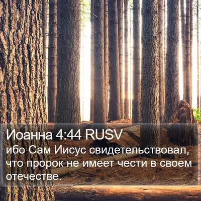 Иоанна 4:44 RUSV Bible Verse Image