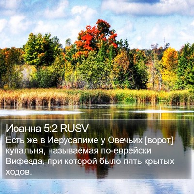Иоанна 5:2 RUSV Bible Verse Image
