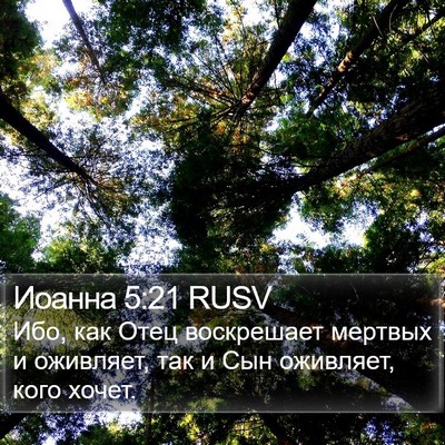 Иоанна 5:21 RUSV Bible Verse Image