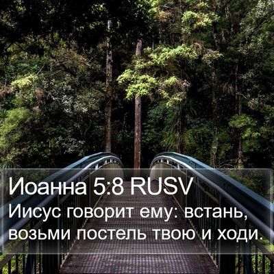 Иоанна 5:8 RUSV Bible Verse Image