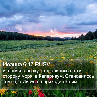 Иоанна 6:17 RUSV Bible Verse Image