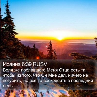 Иоанна 6:39 RUSV Bible Verse Image
