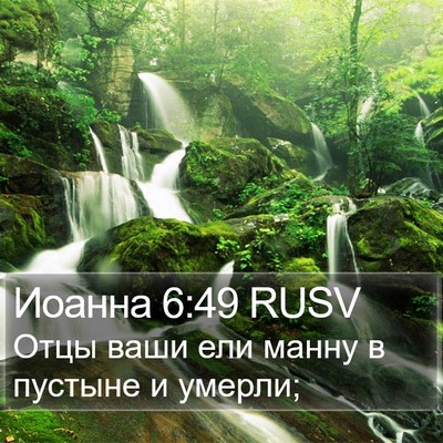 Иоанна 6:49 RUSV Bible Verse Image