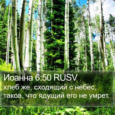 Иоанна 6:50 RUSV Bible Verse Image