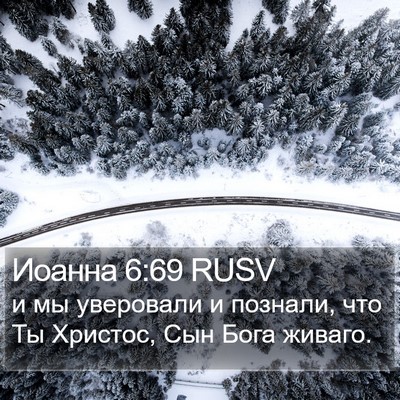 Иоанна 6:69 RUSV Bible Verse Image