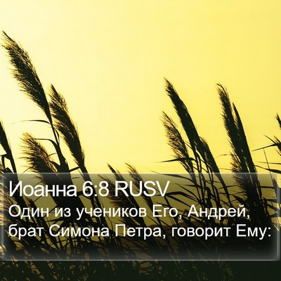 Иоанна 6:8 RUSV Bible Verse Image