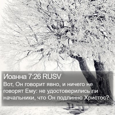 Иоанна 7:26 RUSV Bible Verse Image
