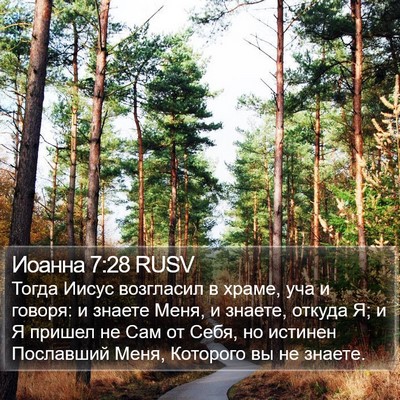 Иоанна 7:28 RUSV Bible Verse Image