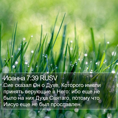 Иоанна 7:39 RUSV Bible Verse Image