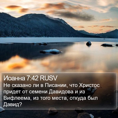 Иоанна 7:42 RUSV Bible Verse Image