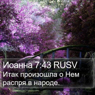 Иоанна 7:43 RUSV Bible Verse Image