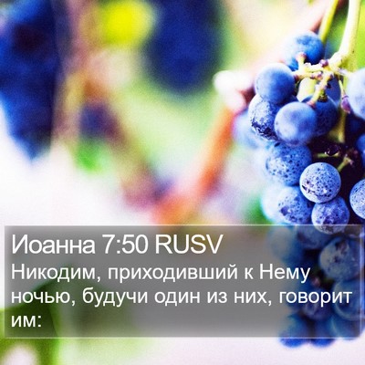 Иоанна 7:50 RUSV Bible Verse Image