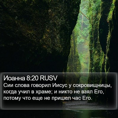 Иоанна 8:20 RUSV Bible Verse Image