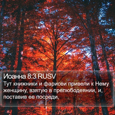 Иоанна 8:3 RUSV Bible Verse Image