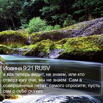Иоанна 9:21 RUSV Bible Verse Image