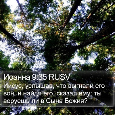 Иоанна 9:35 RUSV Bible Verse Image