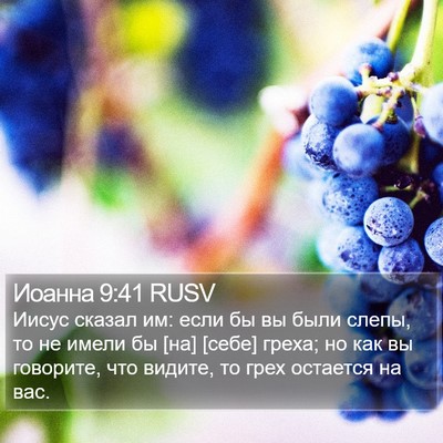 Иоанна 9:41 RUSV Bible Verse Image