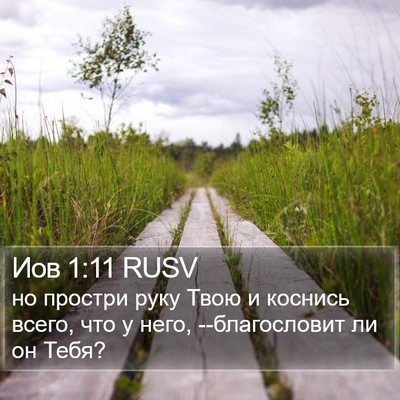 Иов 1:11 RUSV Bible Verse Image