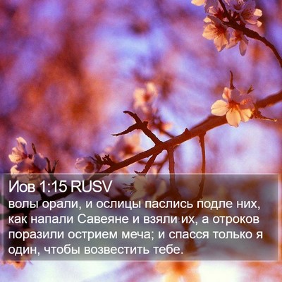 Иов 1:15 RUSV Bible Verse Image