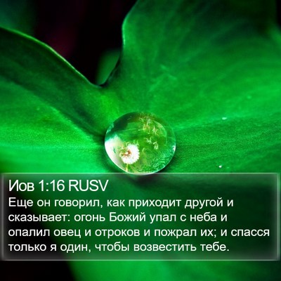 Иов 1:16 RUSV Bible Verse Image