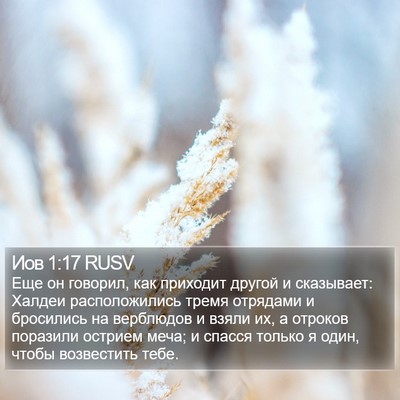 Иов 1:17 RUSV Bible Verse Image